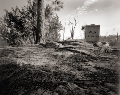 Marsh Boardwalk Entrance