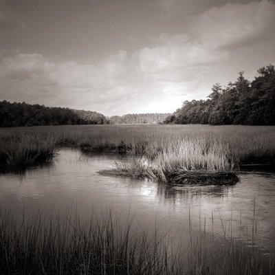 Tidal Creek 1