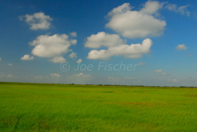 San Bernard NWR 06-01-08 0025 1
