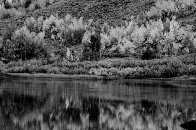 Grand Teton NP 09-23-08 0537 B&W