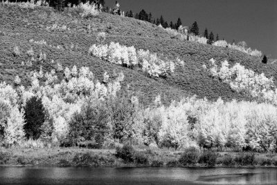 Grand Teton NP 09-26-08 1140 B&W