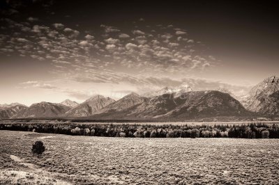 Grand Teton NP 09-27-08 1185 B&W