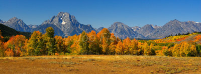 Grand Teton NP 09-26-08 1119 crop