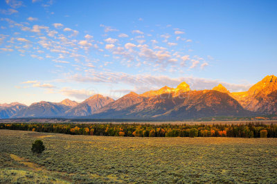 Grand Teton NP 09-27-08 1185