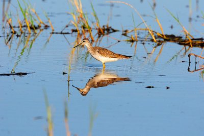 San Bernard NWR 10-26-08 0111.JPG