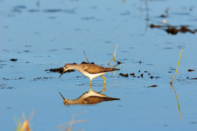 San Bernard NWR 10-26-08 0124.JPG