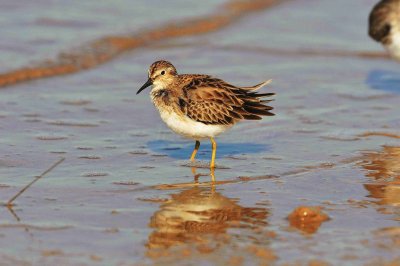 Matagorda County 01-02-09 0178