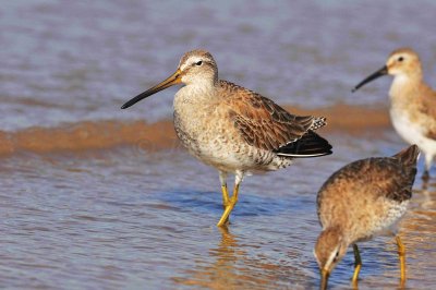 Matagorda County 01-02-09 0169