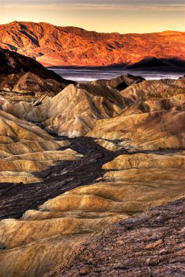 Death Valley NP 3-14-09 0037_HDR.JPG