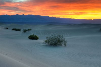 Death Valley NP 3-17-09 0832_HDR.JPG