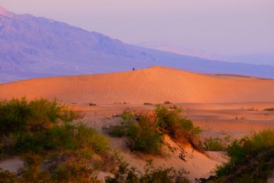 Death Valley NP 3-19-09 1248.JPG