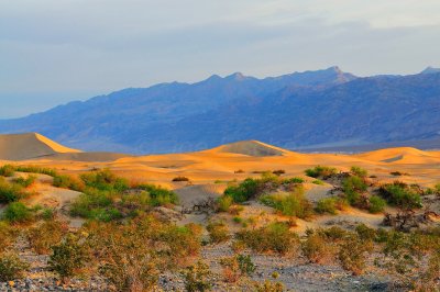 Death Valley NP 3-19-09 1253.JPG