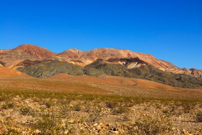 Death Valley NP 3-20-09 1328.JPG