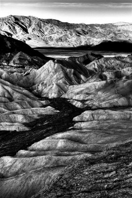 Death Valley NP 3-14-09 0037_HDR BW.JPG