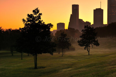 Houston 11-22-09 0725.JPG
