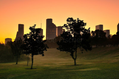 Houston 11-22-09 0726.JPG