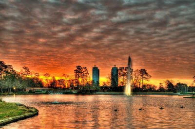 Herman Park 3-7-10 0382_HDR.JPG