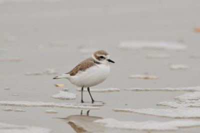 Galveston 12-13-09 0609.JPG