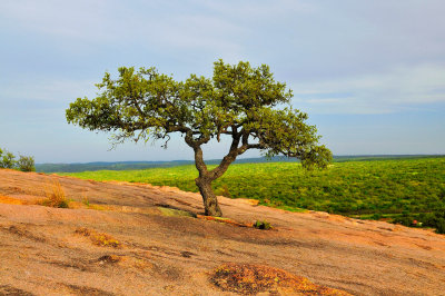 Enchanted Rock SP 4-2-10 0040.JPG