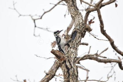 Bastrop SP 7-28-12 0016.JPG