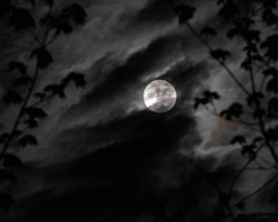 DSCF6302.jpg