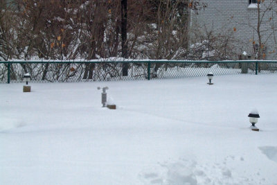 garden fence mar 9.jpg