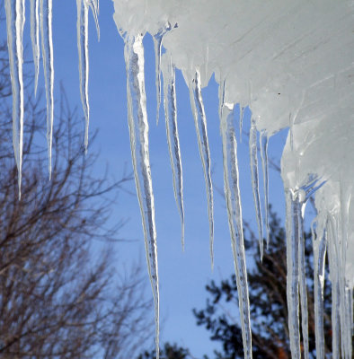 icicles mar 9.jpg