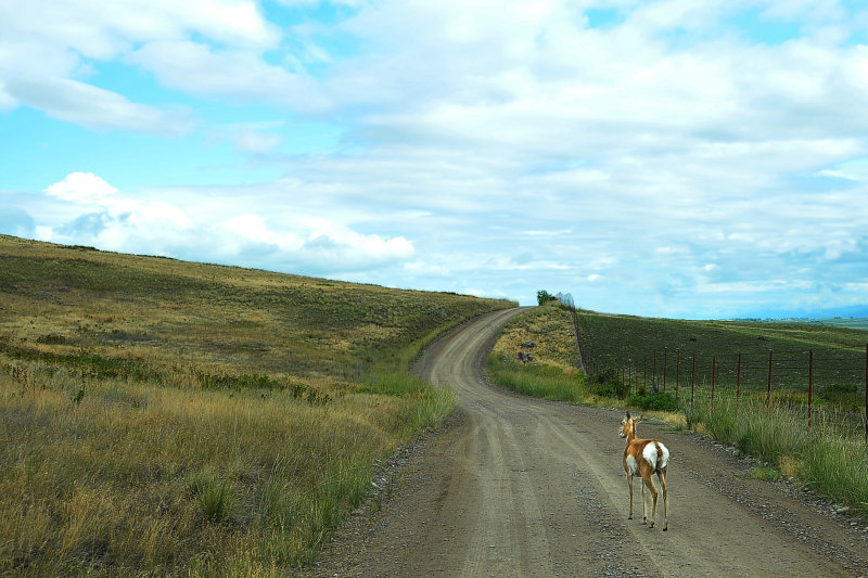 Country Road