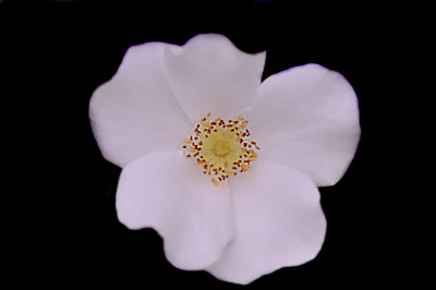 g1/49/789649/3/103563500.M6pQav6g.jpg