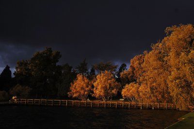 Approaching Storm