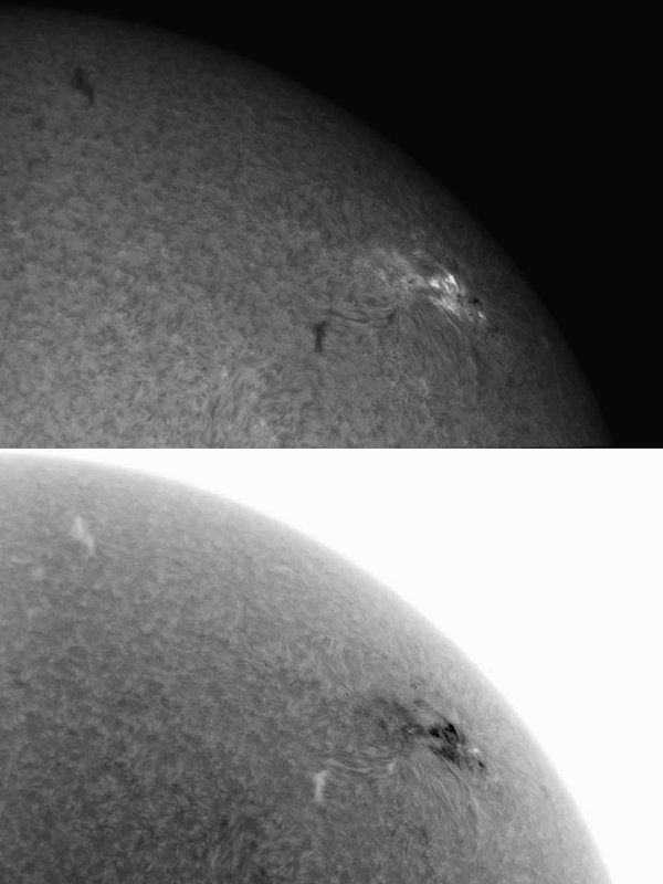 AR 1040 17 January 2010