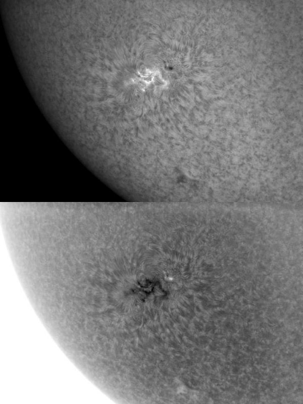 AR 1041 24 January 2010