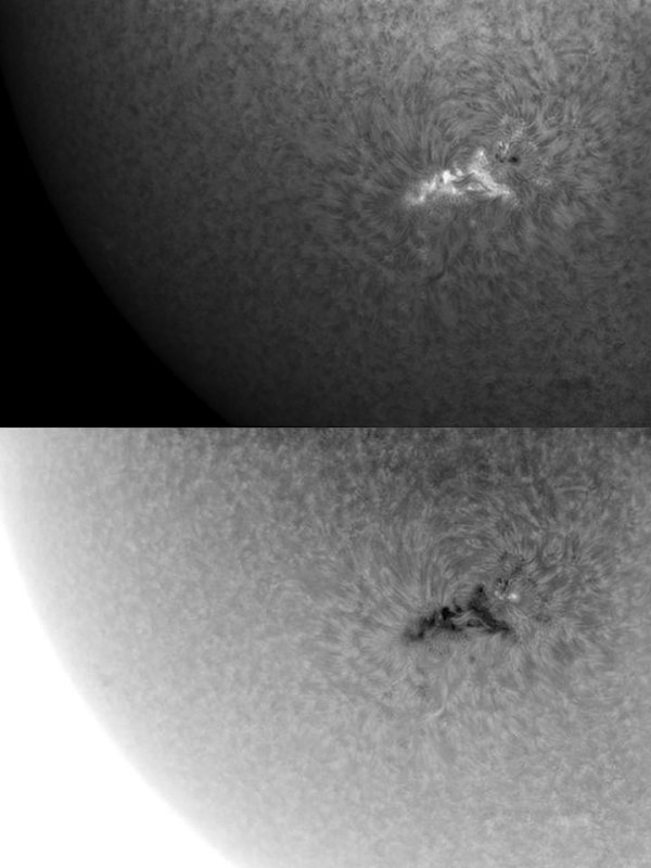 AR 1041 25 January 2010