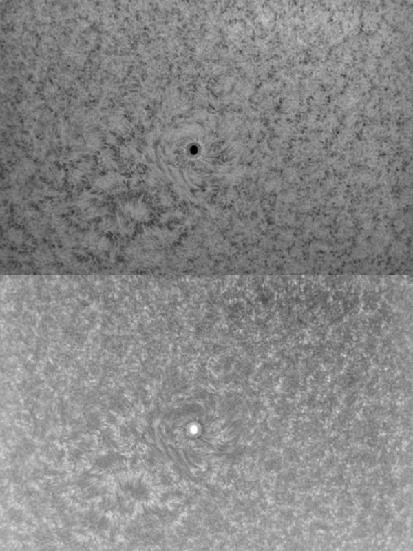 AR 1084 3 July 2010