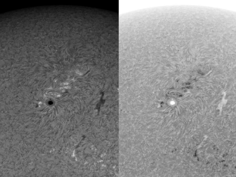 AR 1092 1 August 2010
