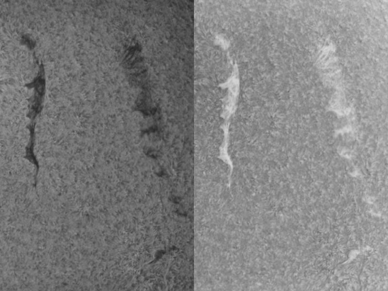 Filaments 1 August 2010