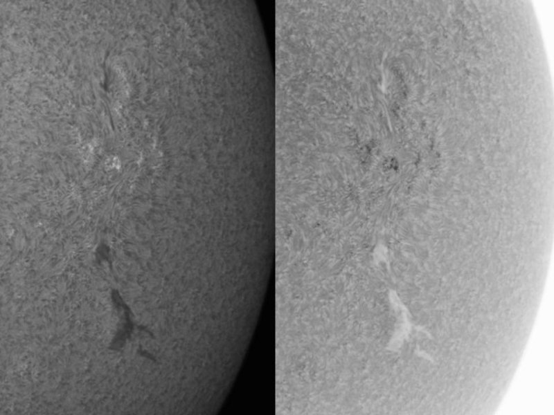 AR 1100 and Filaments 24 August 2010