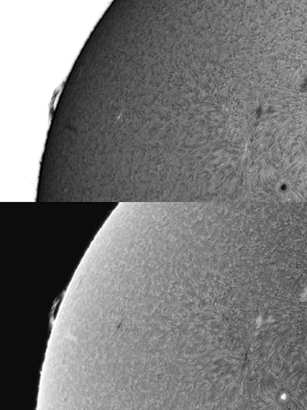 AR 1101 and prom 29 August 2010