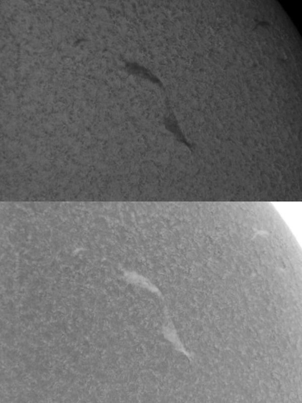 Filament 17 October 2010