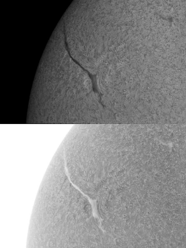 Filament 19 May 2010