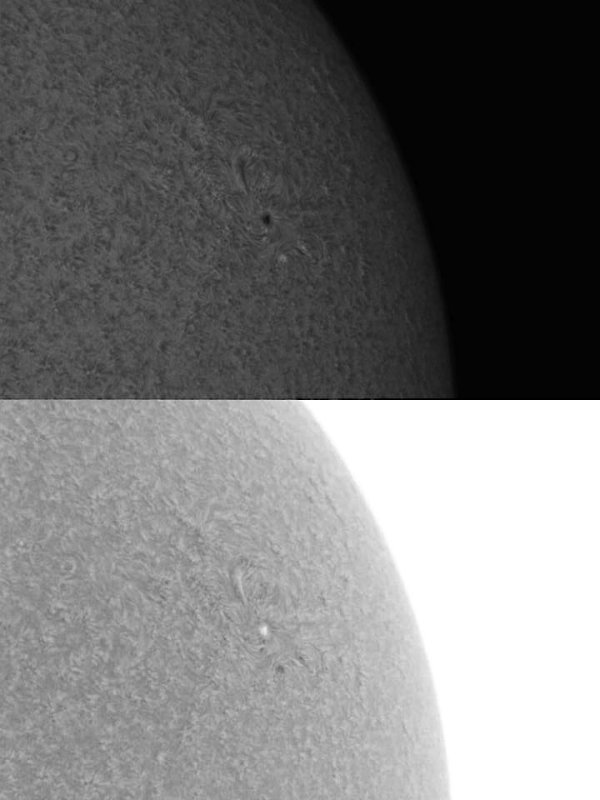 AR 1113 24 October 2010