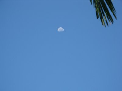 Day time Moon