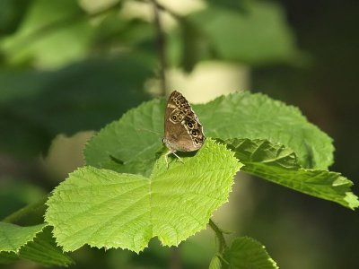 g1/49/818749/3/114567926.LoYmrCnV.jpg