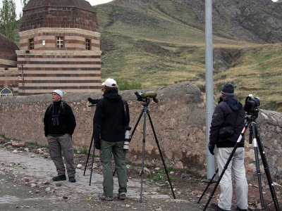 Bjrn, Tomas and Jesper are ready for Grey-necked bunting!