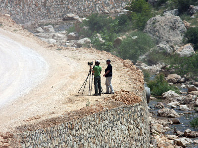 Tomas & Jesper searching for Little Swift