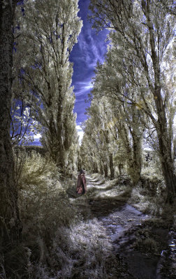 The Lady in the Brown Cape