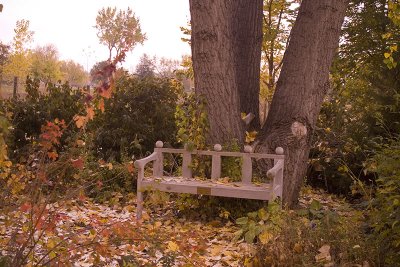 Shade Bench Original