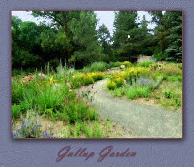 Gallup Garden Version 2