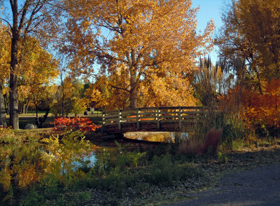 Bridge in Hudson Garden Original