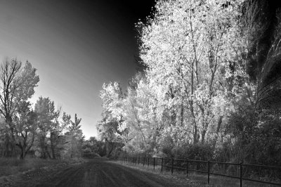 infrared road.jpg